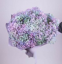 Incredible bouquet of multi-colored gypsophila